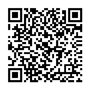 高台上却没有人注意到刚才安国公夫人一瞬间的睁眼二维码生成