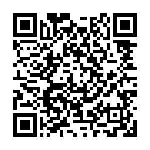 高台上的拍卖师嘴角不由得流露出一丝淡淡的笑容二维码生成