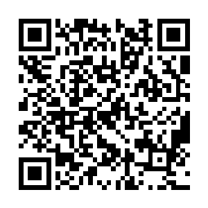 高大的黑影完全笼罩住依然沉着的坐在地上的阿九二维码生成