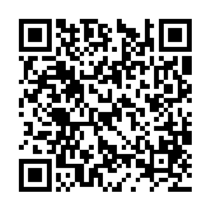 高天龙为什么要在济南府东昌镖局出殡时公然现身二维码生成