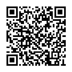 高层的核心重臣里对于外域仙人的暗手不是秘密二维码生成