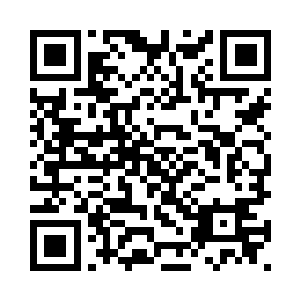 高层管理者们不是聪明绝顶的人么二维码生成