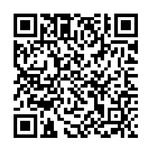 高度赞扬了李逸风旅在京汉线战役中做出的巨大牺牲二维码生成