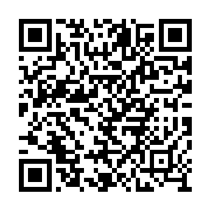 高扬似乎应该抓住机会把新学到的技能派上用场二维码生成