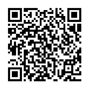 高扬和叶莲娜拉了一车的生活用品还有食物什么的去了他的牧场二维码生成