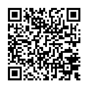 高扬必须赶快编造出一个合理又能马里奥相信的谎话才行二维码生成