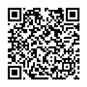 高扬真不知道鲍勃是怎么一眼看出艾琳是个女人的二维码生成