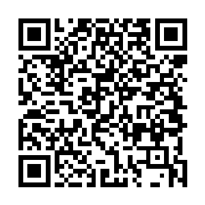 高扬突然意识到他已经很久没见过叶莲娜发自内心的笑了二维码生成