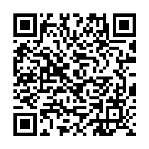 高扬给他身边只想好好看他怎么打的狙击手上了一课二维码生成