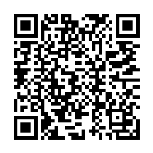 高扬觉得他的父母或许不会第一时间看到直播或者转播二维码生成