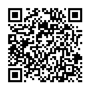 高昂的兴致在刹那间却被谷中的噬血妖藤给吓的无影无踪二维码生成