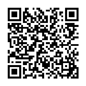 高继宣那个蠢货在这片林木稀少之地种了十五年的柳树二维码生成