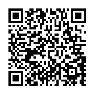 高达一亿两千五百万美元的恐怖投资更是令所有人心跳加速二维码生成