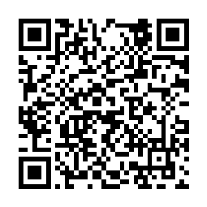 高高在上的魔家老祖在剑尘手中竟然如此不堪一击二维码生成