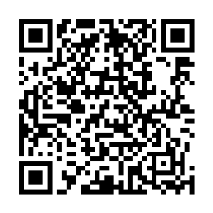 高鸿业很高兴看到一向内向沉默的儿子能如此大方和外向二维码生成