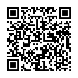 高鸿业颇有些依依不舍的看着已经长大chengren的儿子二维码生成