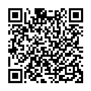 鬓发间戴着京城最近才流行起来的象牙镶金的宝梳二维码生成