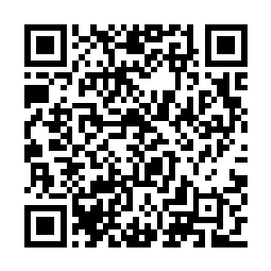鬼修罗和轩辕继宇也相继开口保证了同样的意思二维码生成