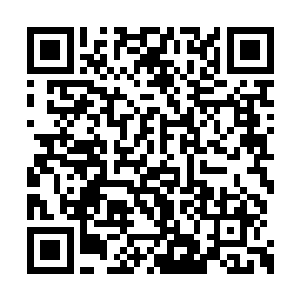 鬼影的这个对手……刀山火海换上来的这个小子二维码生成