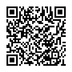 鬼手十三这个名字也将彻底的在大陆上响亮了啊二维码生成