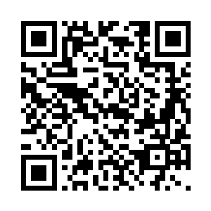 鬼狐眼睛一直在亮晶晶的注视着杨洛二维码生成