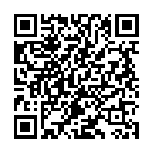 鬼知道他会做出什么事情来……只怕是天天蹲蹲都吃烤二维码生成