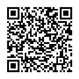 鬼知道这帮能躲在迷乱星海中适应自如的怪物是什么东西二维码生成