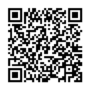鬼雀妖王和阴葵妖王焦躁的在外围等待着吴岩的消息二维码生成