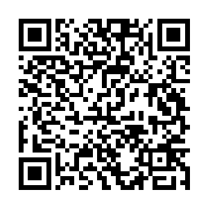 魏传宝一听大哥魏传临说欧阳志远在璀璨星河吃饭二维码生成