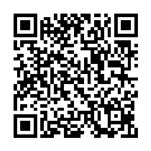 魏厨子想心软可在大红的魔眼之下也只得妥协了二维码生成