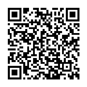 魏婷则快速的从两车之间径直跑向李天华的方向二维码生成