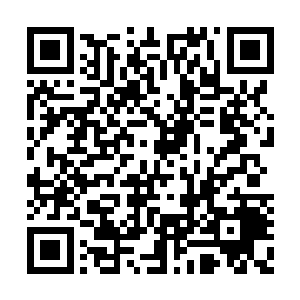 魏婷总不能将所有参与斗殴的人都抓进派出所吧二维码生成