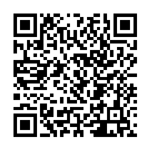 魏婷的这个朋友恰好参加了今天下午去胡同路的行动二维码生成