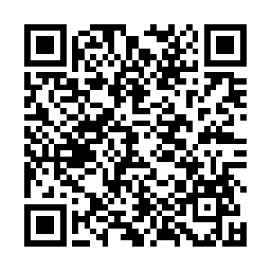 魔化傀儡和三眼会家族手上的军队是监狱的狱卒和打手二维码生成