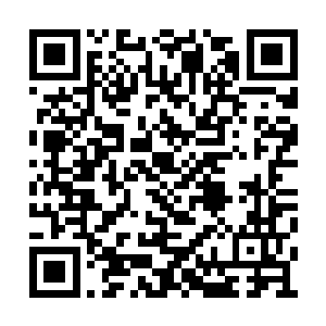 魔幻禁地内那么大的阵仗绝对是宋辰砂弄出来的二维码生成