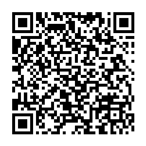 魔杀谷和执天阁的营帐差不多也都各自扎在时间之塔周围不远的地方二维码生成