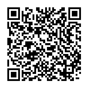 魔童圣子显然对他来说绝对是一颗无比重要也是无比有潜力的一颗棋子二维码生成
