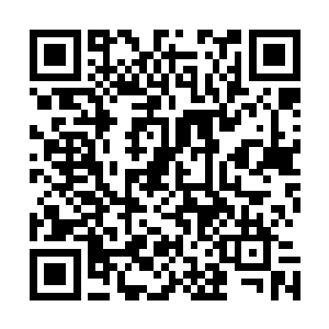 魔都影视学院的校领导陪着宇天吃了一顿丰盛的校园自助餐二维码生成