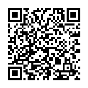 鱼幼薇一路听着老道魏叔阳介绍青城山幽甲天下的风景二维码生成