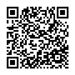 鲍成钢没想到陆为民和佟舒的交情居然要追溯到十四年前了二维码生成