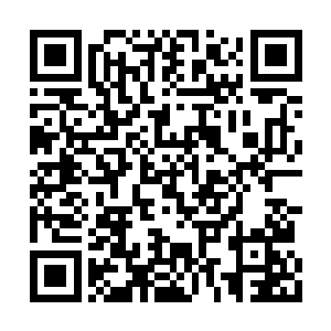 鸟儿身上的一根根羽毛如琴弦一样在扰动着空气二维码生成