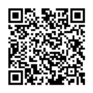 鸡窝头竟然真的从身上又拿出来一本封面上写着二维码生成