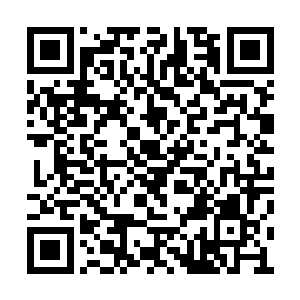 鸿轩神皇借助着这一拳的反震之力往后退了几步二维码生成