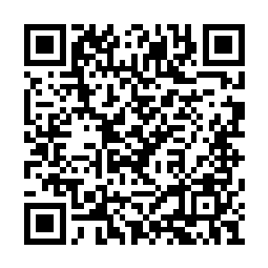 鹏万户竟然就只是因为玄柔柔言辞中的一些不当二维码生成
