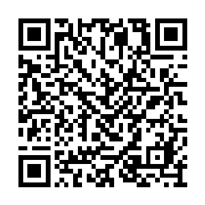 鹤群的规模和方正的铁喙飞鹤群形成鲜明的对比二维码生成