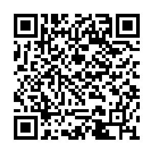 鹦鹉螺还是甲胄鱼等等上古海洋中的顶级掠食者二维码生成