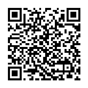麒麟的人可是在街道两旁安置了不下一百颗的东西二维码生成
