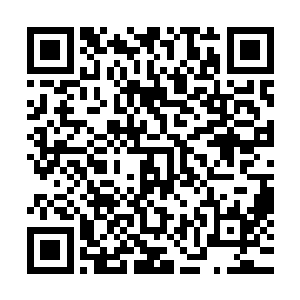 麻生沙树倒还没笨到也学千叶佳子两人一样去给主子疏松筋骨二维码生成