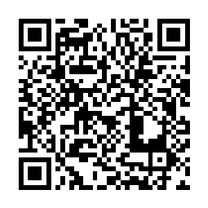 黄天真人眼睛直勾勾地盯着那一粒散发着莹润白光的小丸上二维码生成