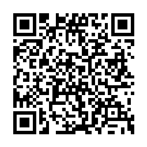 黄昌宇见夏云杰凭栏眺望远处的玉泉山和昆明湖二维码生成